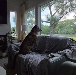 Meet your Posher, Jessie